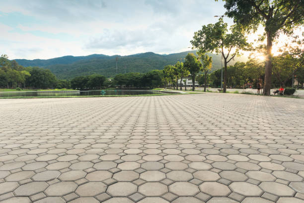 Best Local Driveway Pavers  in Ridgefield, WA