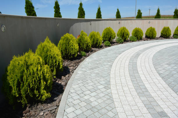 Best Brick Driveway Pavers  in Ridgefield, WA